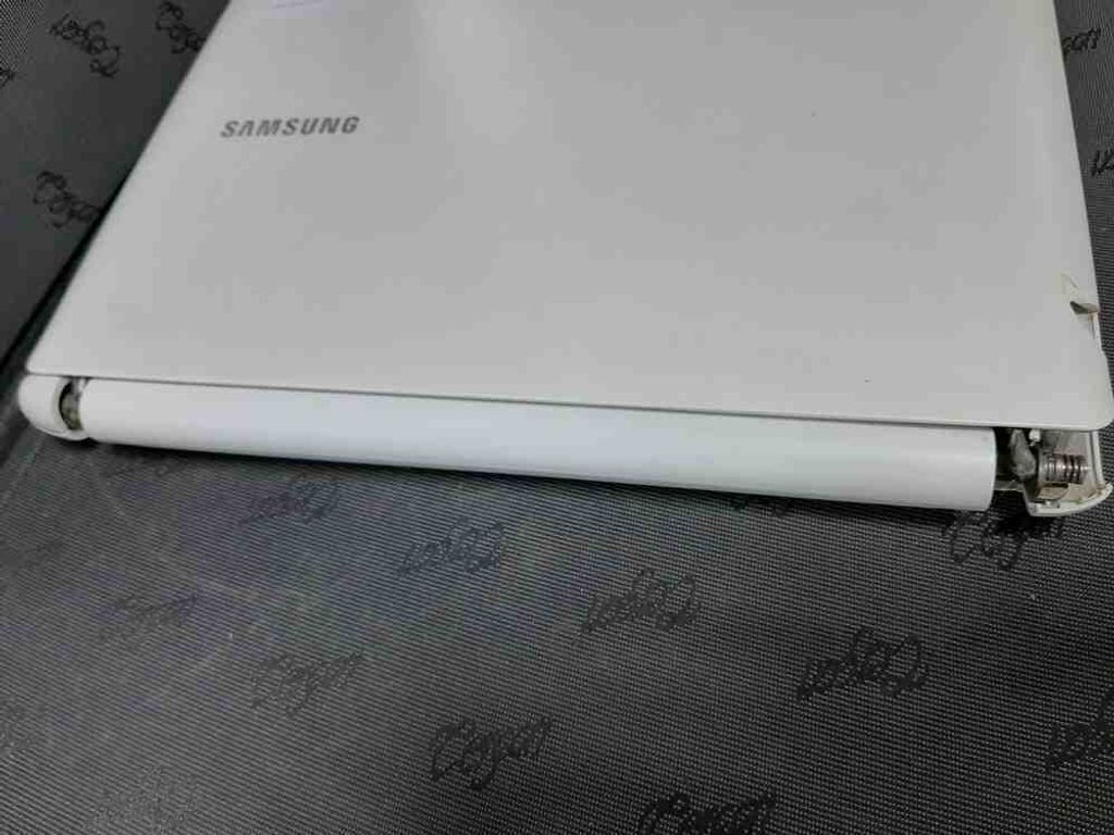 Samsung N100S (Intell Atom N2100 1.6ghz/2 gb/300gb)