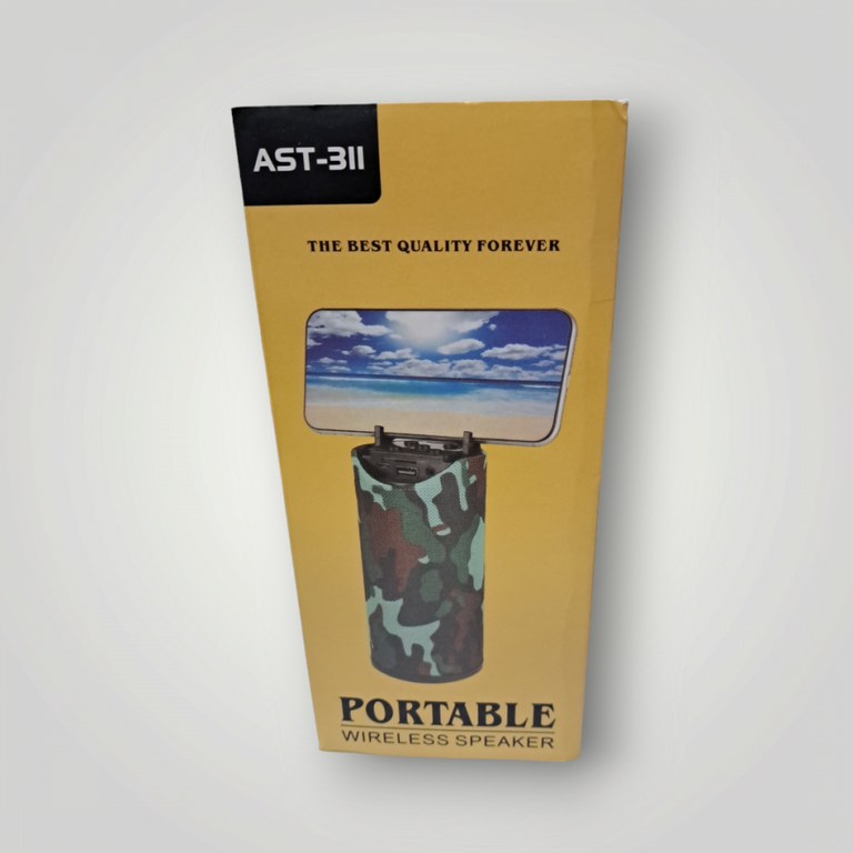 Portable ast-311