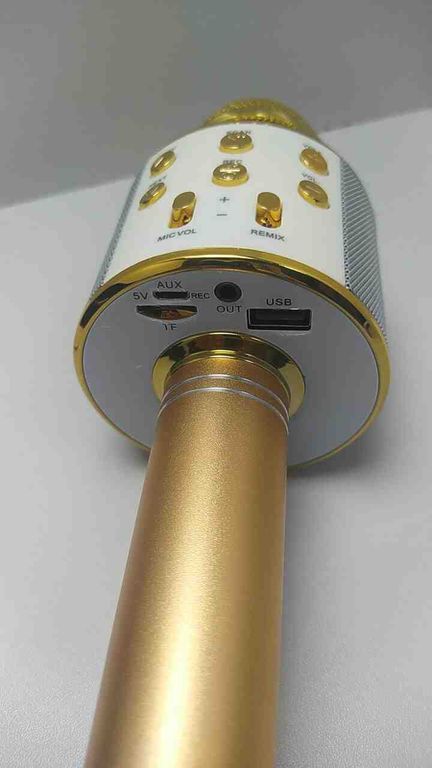 Wster WS-858 Gold