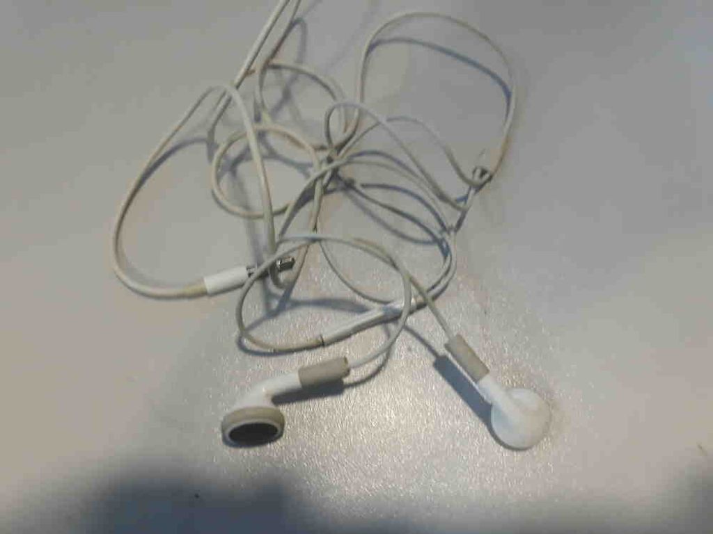 Apple iPod Earphones (MB770)