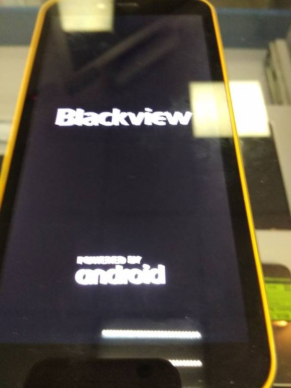 Blackview BV5500 Pro 3/16GB Black